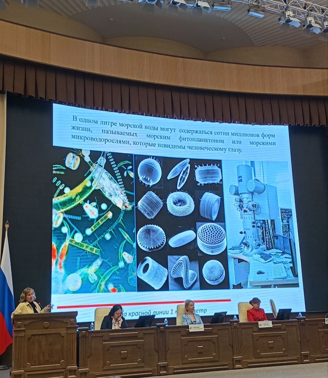orlova forum ecoPrim 2026