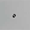 GK85_0644_Trans_1.jpg