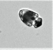 Hrot-21__24________.jpg