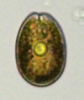 SNAP-132506-0007.png