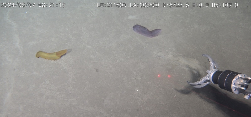 Chinese Russian expedition 2024 05