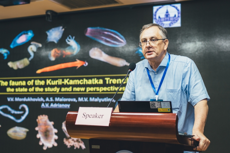 international activity 2024 02