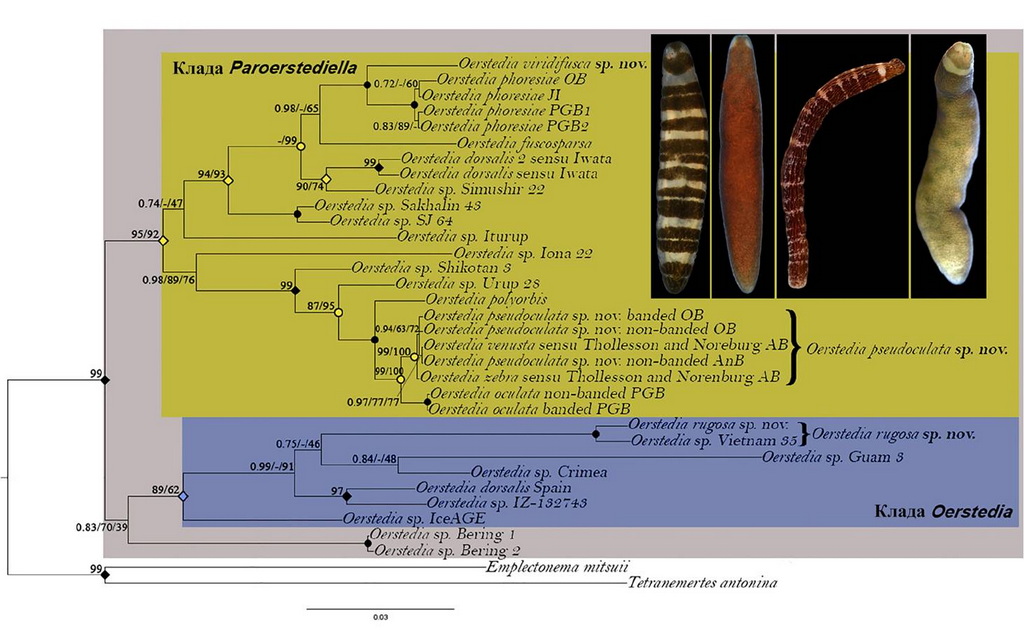 nscmb 2023 most important 02