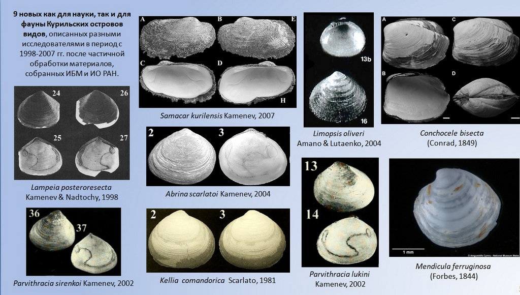 nscmb 2023 most important 04