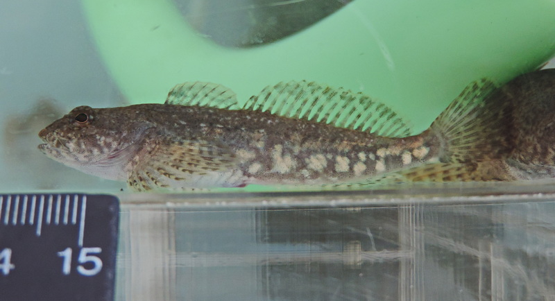 nscmb 2023 most important 05