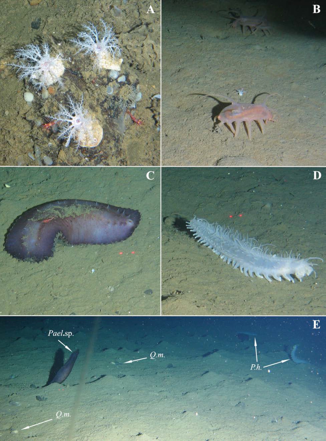 075 15 2020 796 fig 04