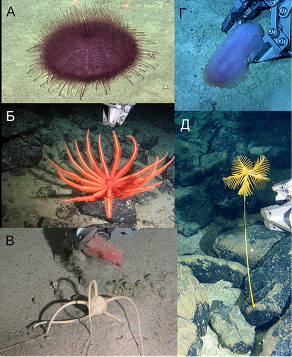 075 15 2020 796 fig 05